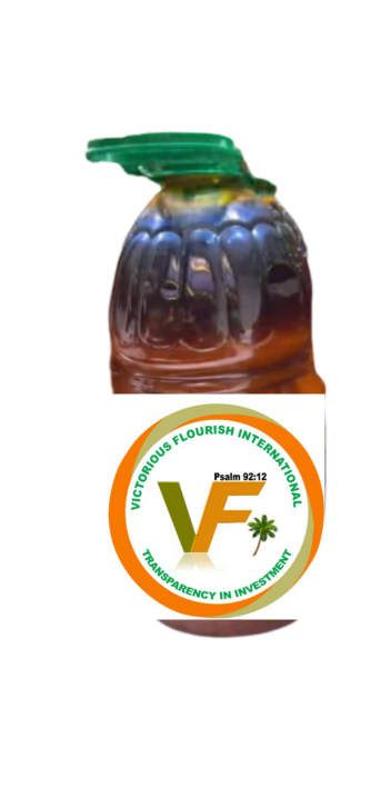 Join the VFi Global Network - Retailers Wanted for VFi Natural Undiluted Palm Oil